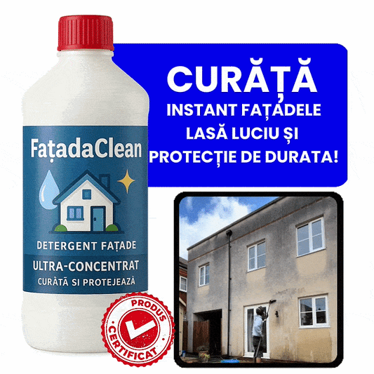 SOLUȚIE PROFESIONALĂ FațadăClean™